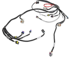 Holley EFI Engine Wiring Harness 558-133