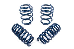 Dinan Coil Spring Set D100-0935