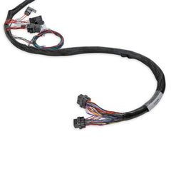 Holley EFI Engine Wiring Harness 558-133