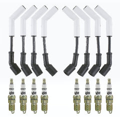 ACCEL 819070 GM GEN 4 LS TUNE UP KIT