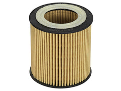AFE 44-LF029 Pro GUARD D2 Oil Filter