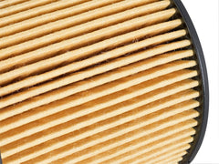 AFE 44-LF029 Pro GUARD D2 Oil Filter