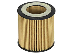 AFE 44-LF029-MB Pro GUARD D2 Oil Filter (4 Pack)
