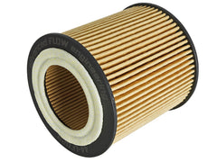AFE 44-LF029-MB Pro GUARD D2 Oil Filter (4 Pack)