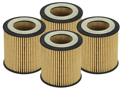 AFE 44-LF029-MB Pro GUARD D2 Oil Filter (4 Pack)