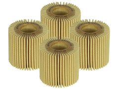AFE 44-LF036-MB Pro GUARD D2 Oil Filter (4 Pack)