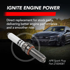 APR Audi, Bentley, Lamborghini, Porsche... (2.0, 2.5, 2.9, 3.0, 3.7, 4.0) Spark Plug PN. Z1004081