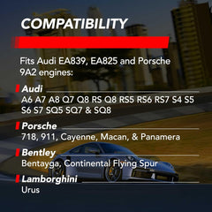 APR Audi, Bentley, Lamborghini, Porsche... (2.0, 2.5, 2.9, 3.0, 3.7, 4.0) Spark Plug PN. Z1004081