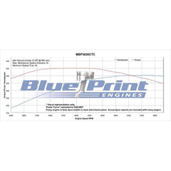 BluePrint Engines 383 ci Small Block GM style Marine Engine - Long Block MBP3830CT