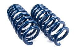 Dinan Coil Spring Set D100-0935
