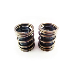 Dynomite Diesel Dodge 94-98 5.9L 12 Valve P-Pump Competition Governor Spring Set DDPCOMPGSK