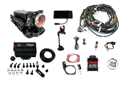 FiTech 35531 Ultra Ram 650 HP EFI Port System