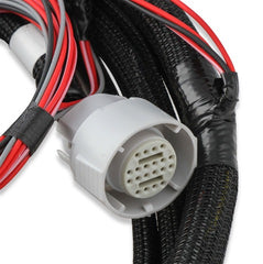 Holley EFI 558-455 GM 4L60 (2009+) TRANS HARNESS