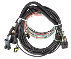 Holley EFI Display Wiring Harness PN. 558-457