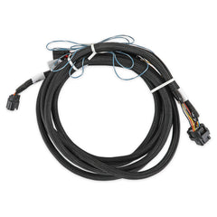 Holley EFI Car Ford (302, 315, 415, 445) Throttle Body Wiring Harness PN. 558-469