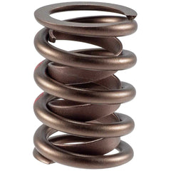 Melling Select Performance 466434 High Performance Valve Spring