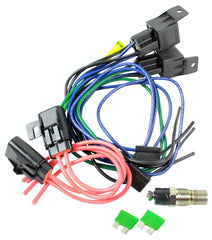Northern Radiator Z41032 Dual Relay With Temperature Switch