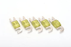 ORION MINI ANL 100 AMP 5 FUSES PACK MA100