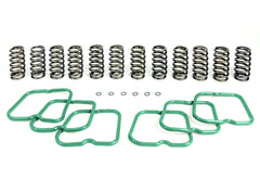 Pacbrake Basic Spring Kit 12 Springs For 94-98 Ram 2500/3500 Cummins 12 Valve Engine HP10240