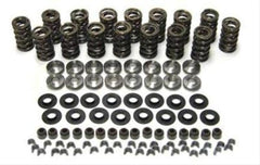 ProMaxx Performance Products | Valve Spring Kit | PN. 8401