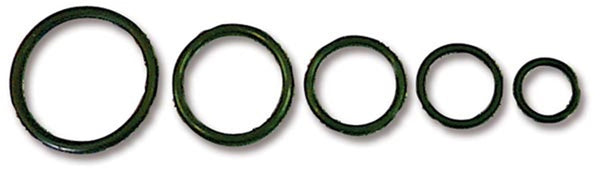 Earl's Performance Plumbing 176006ERL -6 0-Ring - Pkg. of 10