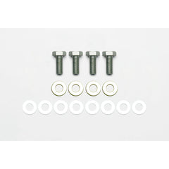 Wilwood Brakes BOLT KIT,BRACKET MT,M10-1.50x25mm LG 230-12855