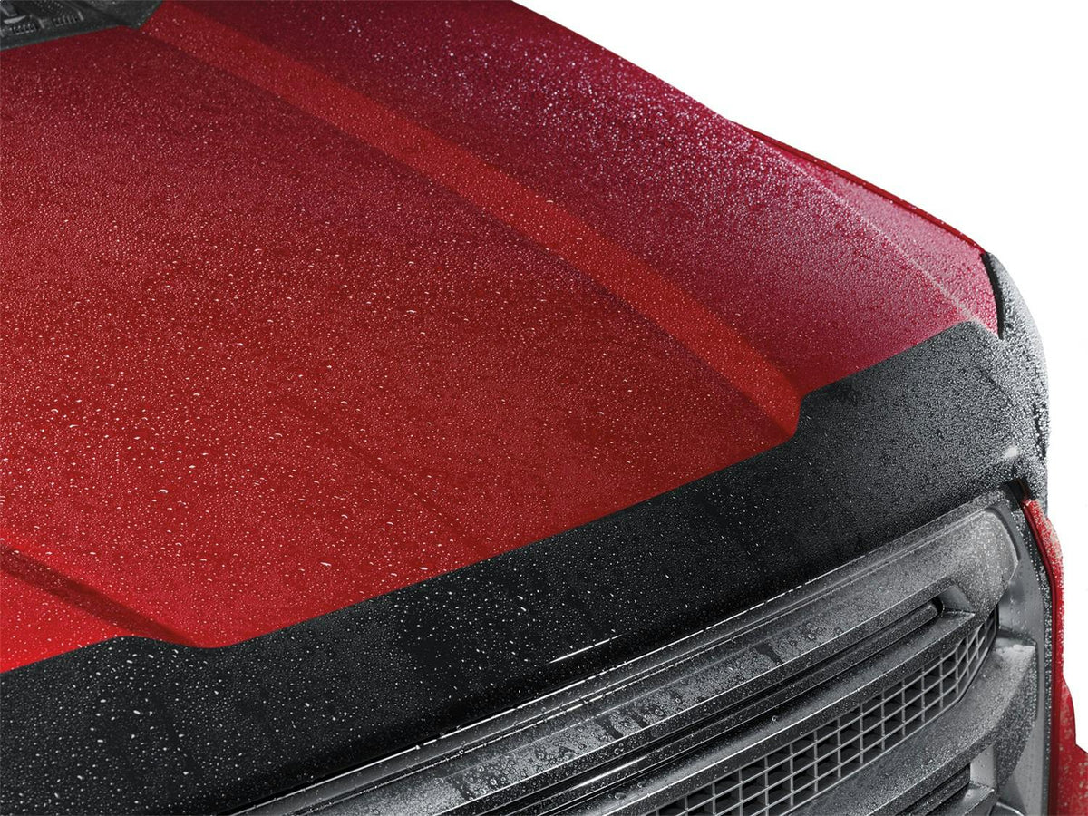 WeatherTech 55221 Black Hood Skin Protector