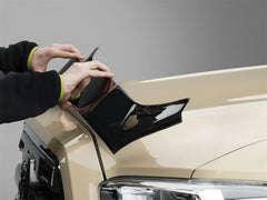 WeatherTech 55231 Black Hood Skin Protector