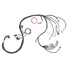 Holley EFI Engine Wiring Harness 558-134