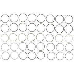 MAHLE PERFECT CIRCLE SET 40620