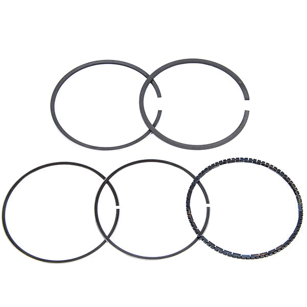 MAHLE SLEEVE ASSEMBLY RING SET 00249N2