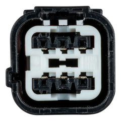 CURT Custom Wiring Harness, 4-Way Flat Output, Select Kia K4, K5 56562
