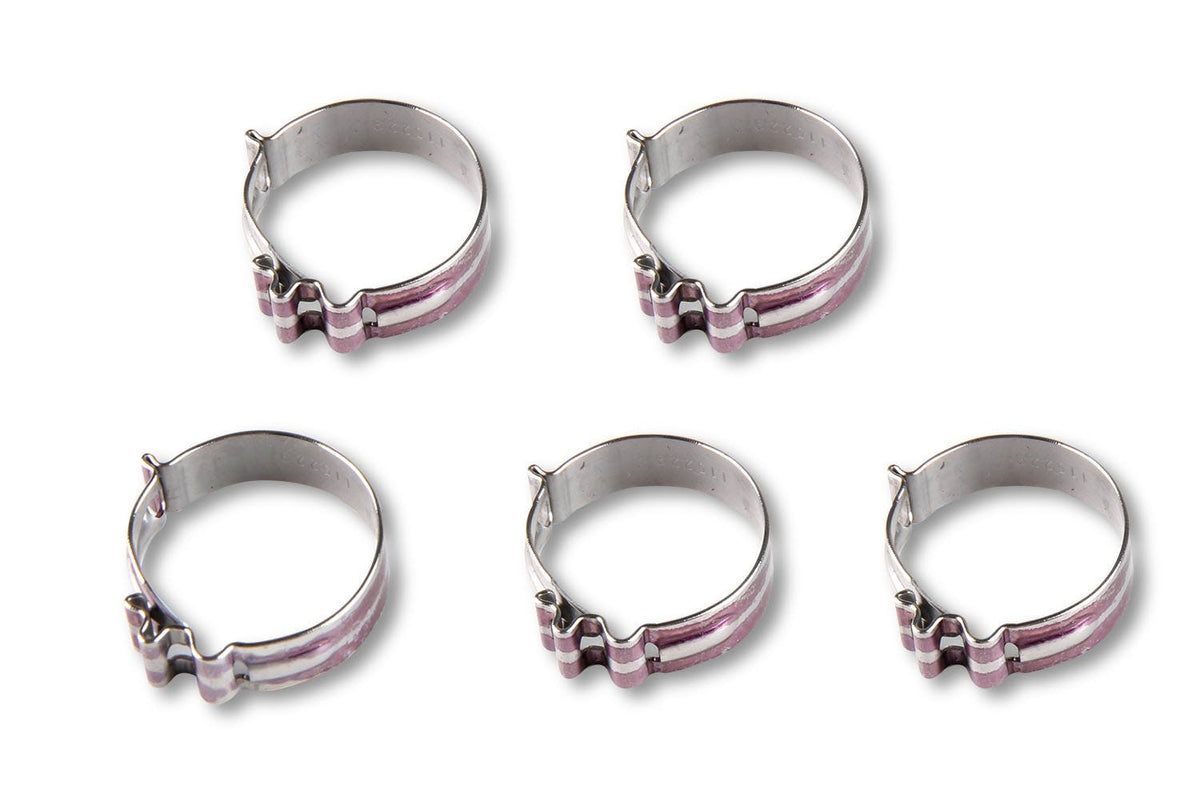 Earl's Performance Plumbing 818412ERL -12 SUPER STOCK CLAMP (PACK OF 5)