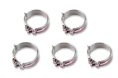 Earl's Performance Plumbing 818412ERL -12 SUPER STOCK CLAMP (PACK OF 5)