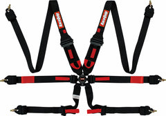 RaceQuip 855005 FIA 6-Point Camlock HANS/FHR Racing Lap Belt Harness Set (Black, Pull-Down)