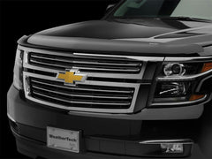 WeatherTech 50222 Dark Smoke Stone and Bug Deflector