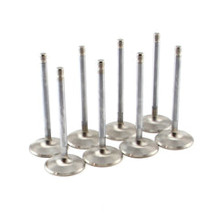Speedmaster PCE273.1073 1.900 11/32 Stainless Steel Exhaust Valves