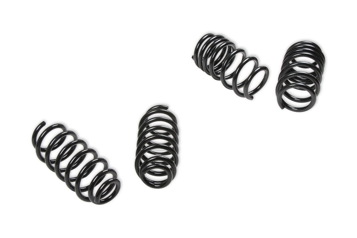 Lakewood RK200-10 Rekudo Coil Spring Set