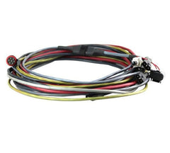 Racepak 280-CA-HARNP20 RPM Harness