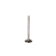 Melling V0597 Stock Replacement Intake Valve