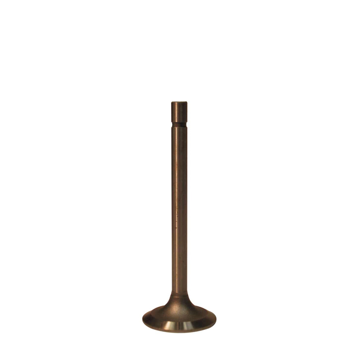 Melling V0637+3 Stock Replacement Intake Valve