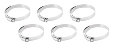 AEM Induction Systems 23-207 Hose Clamp Kit