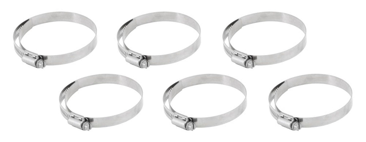 AEM Induction Systems 23-209 Hose Clamp Kit