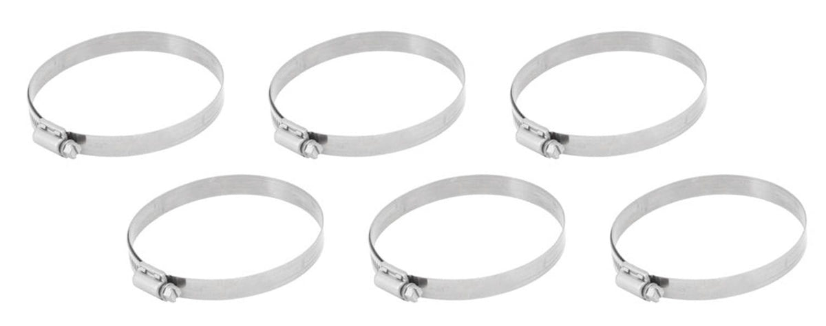 AEM Induction Systems 23-210 Hose Clamp Kit