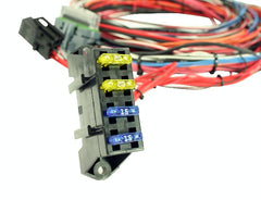 AEM 30-2905-96 EMS 4 96 Harness