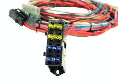 AEM 30-2905-96 EMS 4 96 Harness