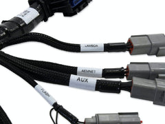 AEM 30-3519 Infinity Supra Harn