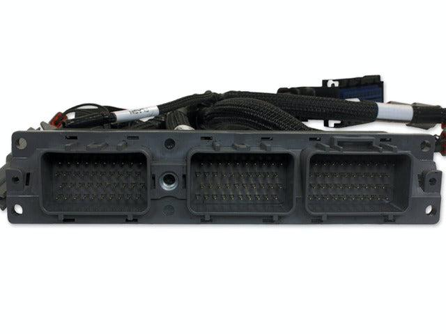 AEM 30-3519 Infinity Supra Harn