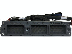 AEM 30-3519 Infinity Supra Harn