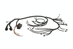 AEM 30-3532 Infinity 24x LS Harn
